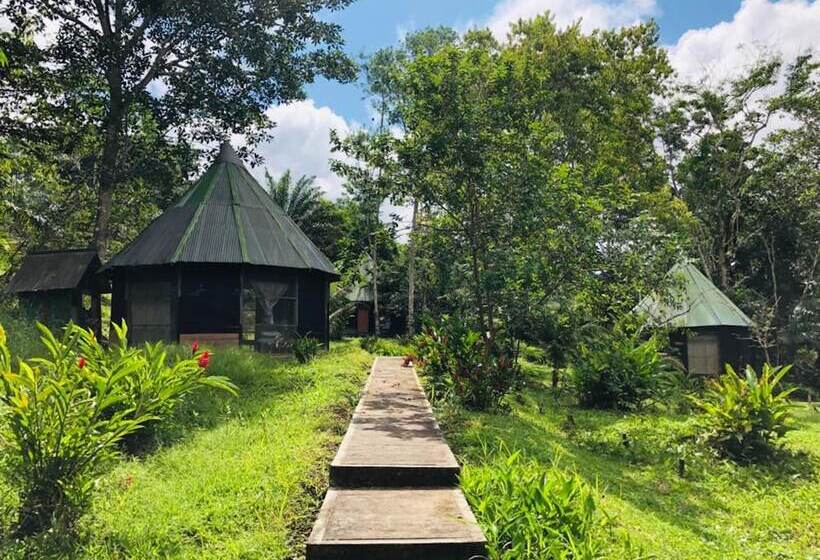 Eco Hotel Aldea   Amazonas