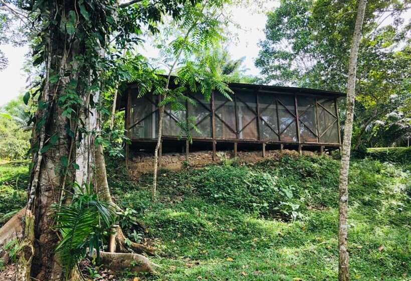 Eco Hotel Aldea   Amazonas