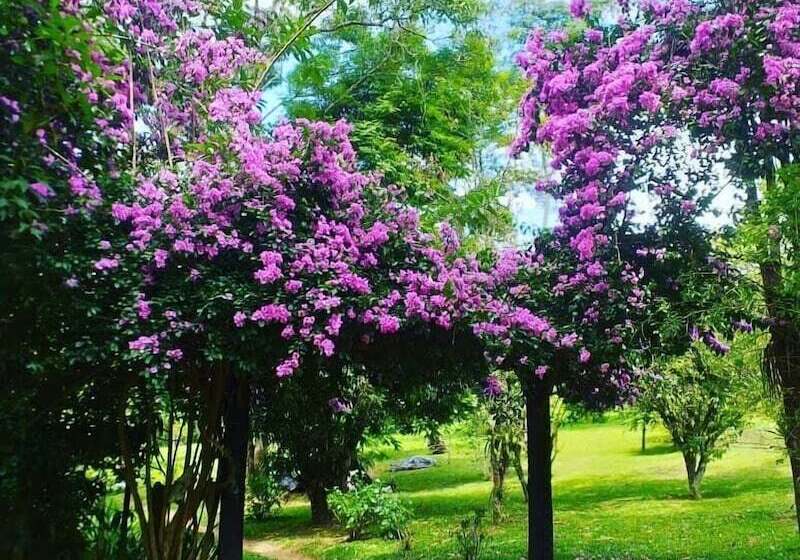 مسافرخانه Chalés Karunâ