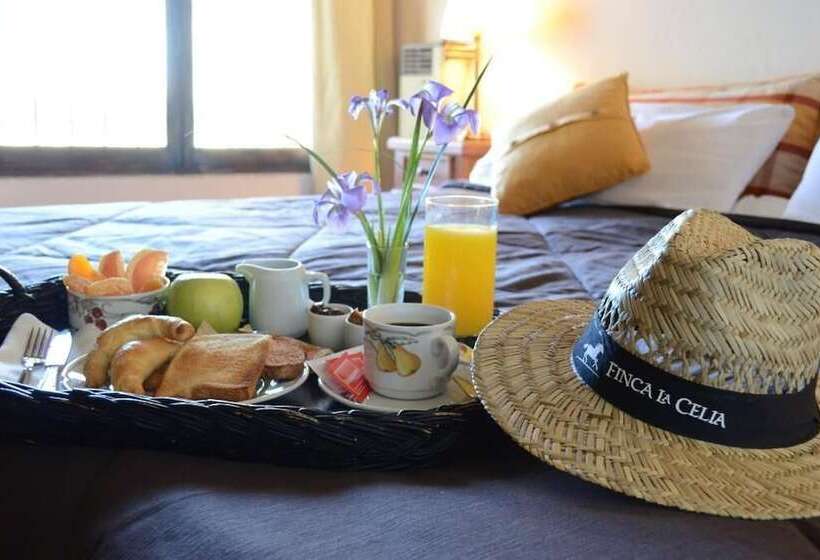 客栈  Posada La Celia