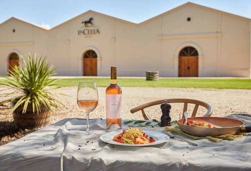 客栈  Posada La Celia