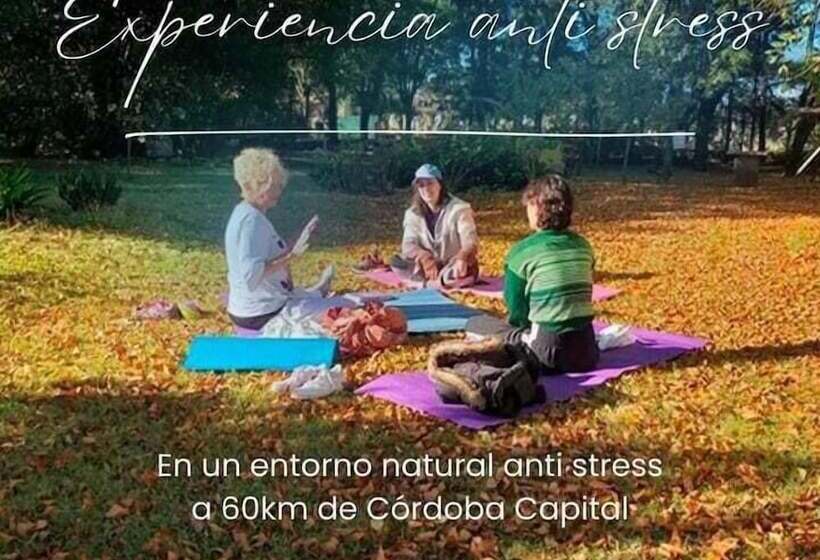 ホテル Almaalquimia