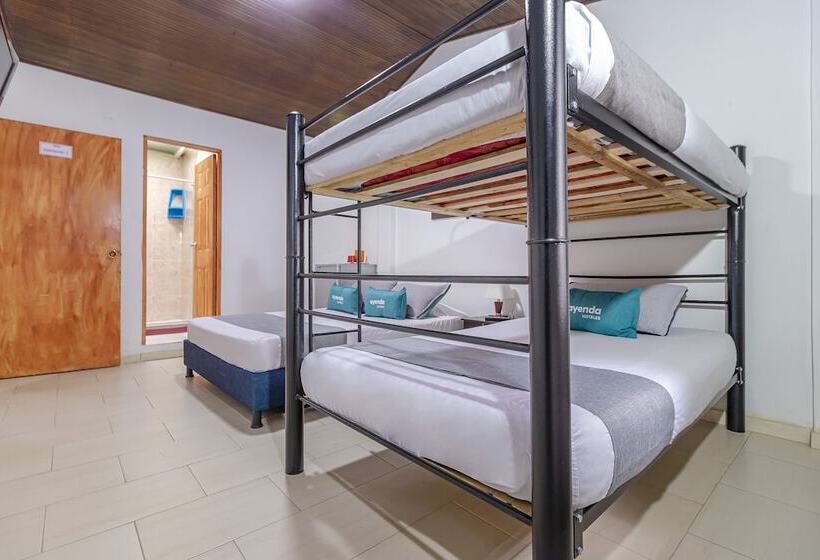 فندق Ayenda Hostal El Tocororo