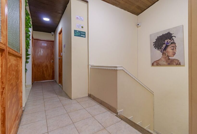 فندق Ayenda Hostal El Tocororo