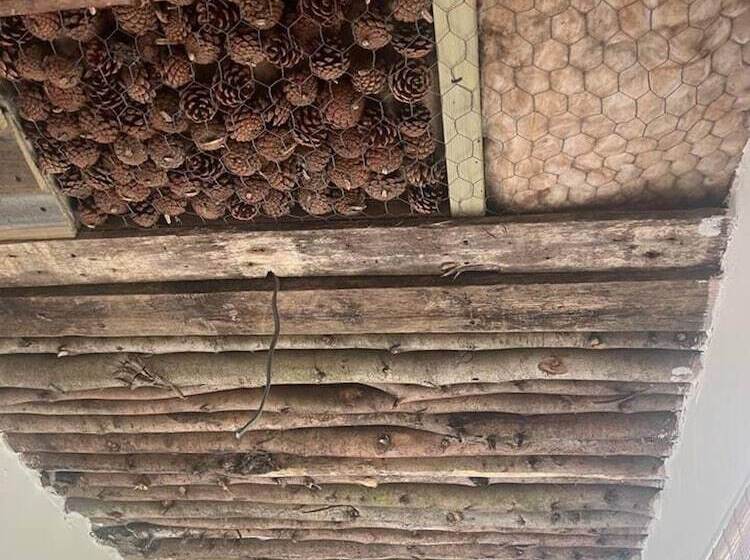 فندق Bridie Rose   Hot Tub Extra Charge Exotic Animals