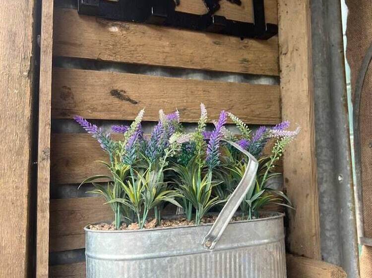 فندق Bridie Rose   Hot Tub Extra Charge Exotic Animals