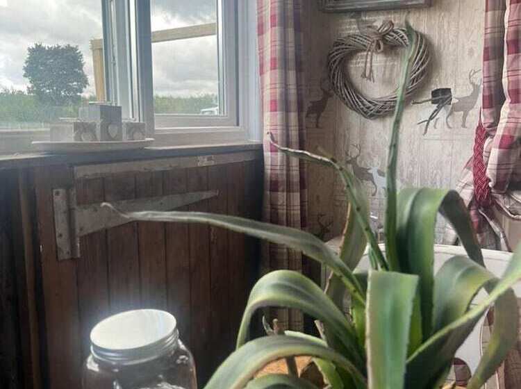 فندق Bridie Rose   Hot Tub Extra Charge Exotic Animals