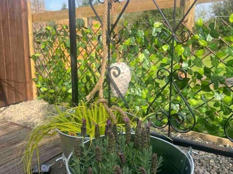 فندق Bridie Rose   Hot Tub Extra Charge Exotic Animals