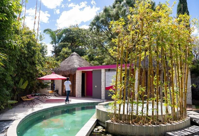 هتل Casa De Las Flores