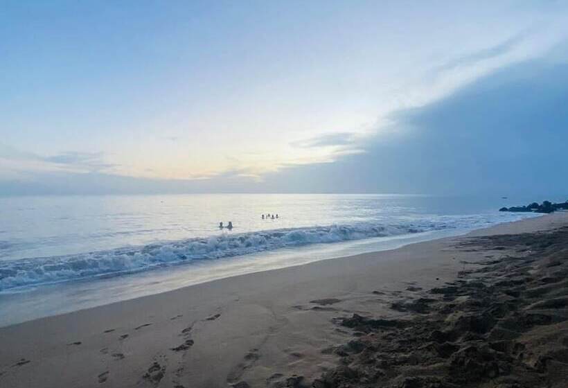 Hôtel Corcega Beachfront Suites