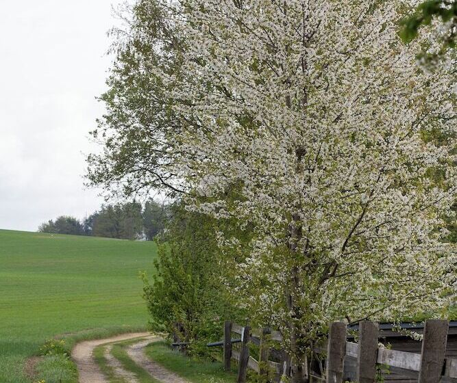 酒店 Denkmalgeschütztes Rittergut Hexenburg