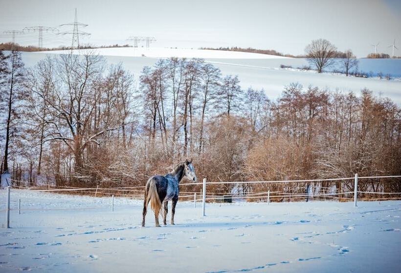 בית מלון כפרי Denkmalgeschütztes Rittergut Hexenburg