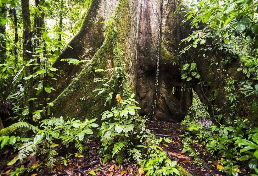 فندق Guacamayo Ecolodge