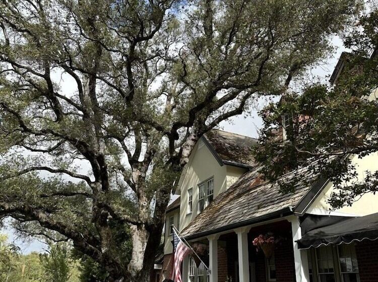 בית מלון כפרי The Inn On Knowles Hill