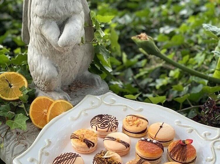 בית מלון כפרי The Inn On Knowles Hill