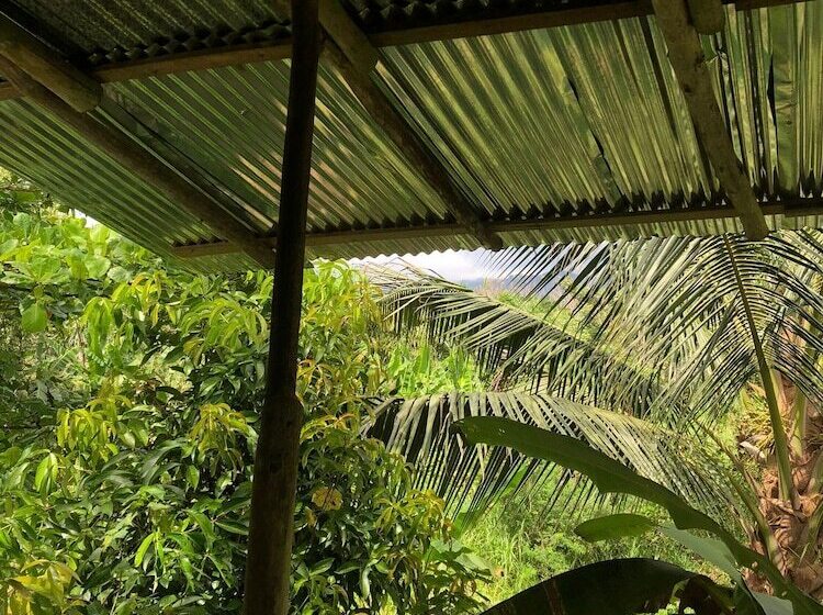 فندق La Muñequita Lodge