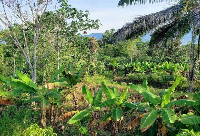 فندق La Muñequita Lodge