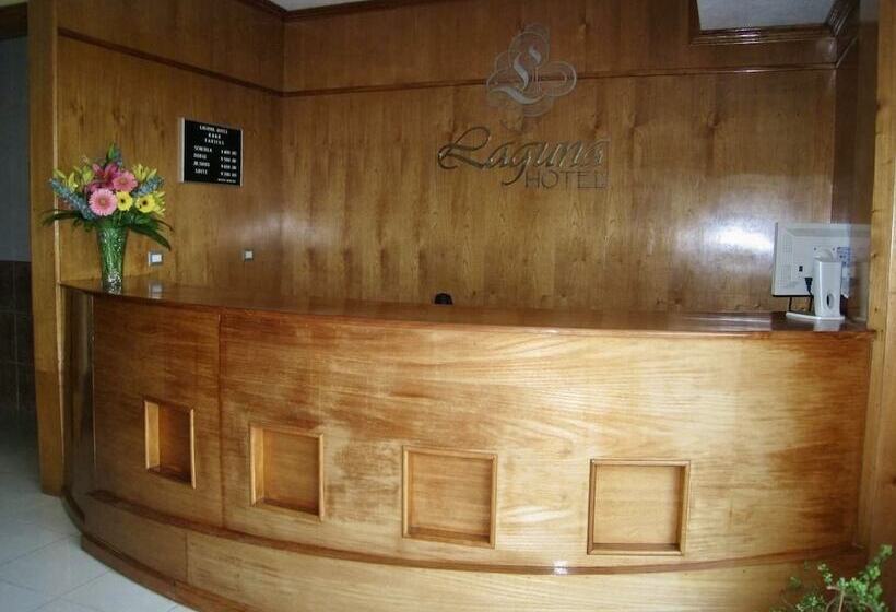 호텔 Laguna Tampico