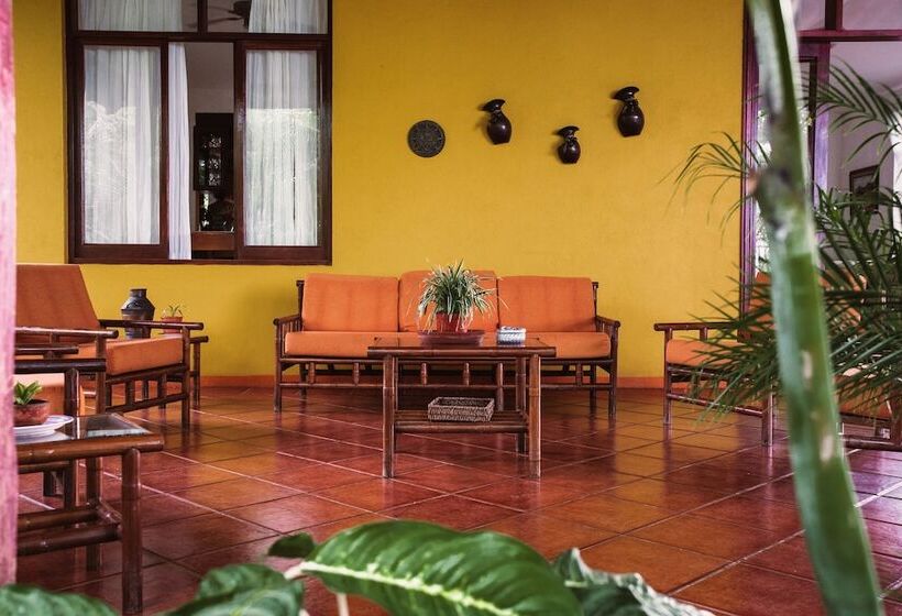 فندق Loli's Place