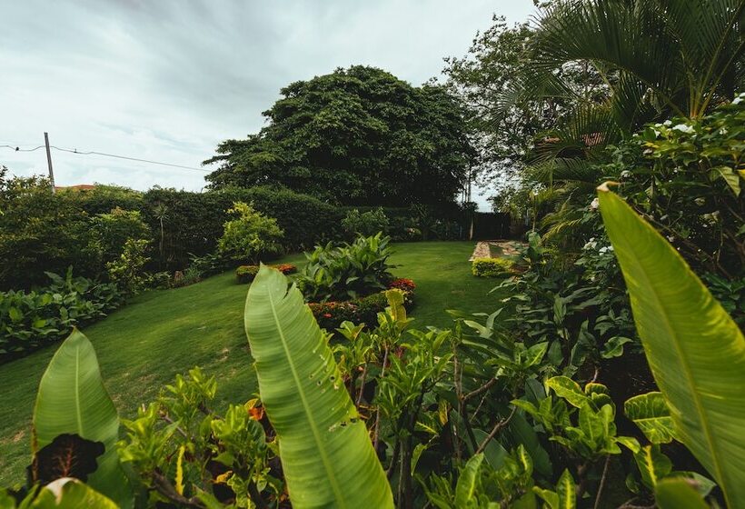 فندق Loli's Place