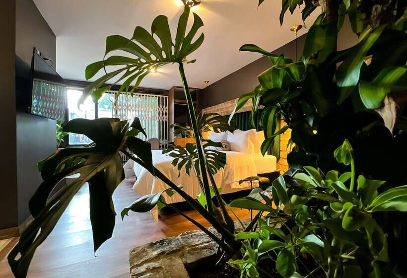 בית מלון כפרי Mystic Luxury Lofts