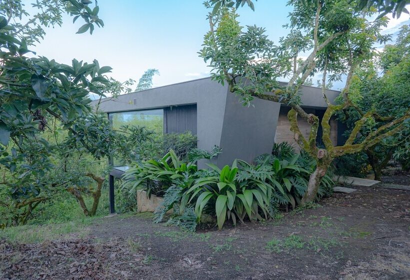 هتل Palta Eco Haven