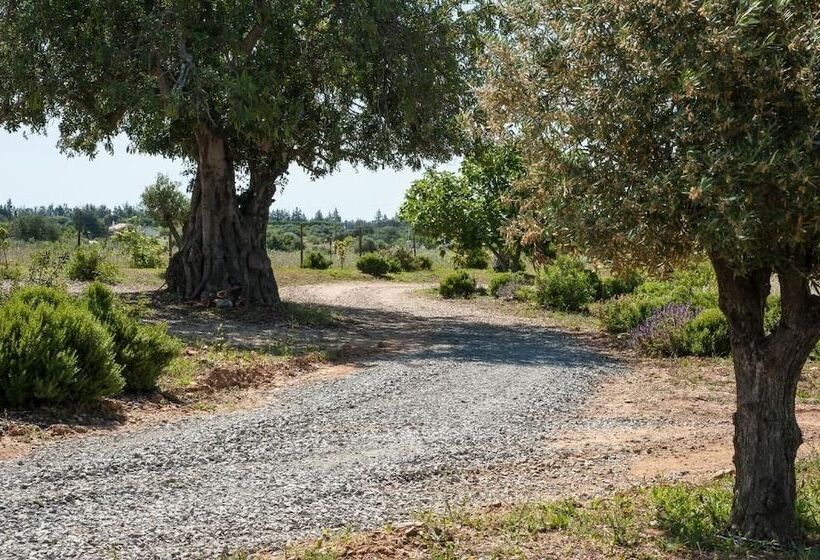 ホテル Pensão Agrícola