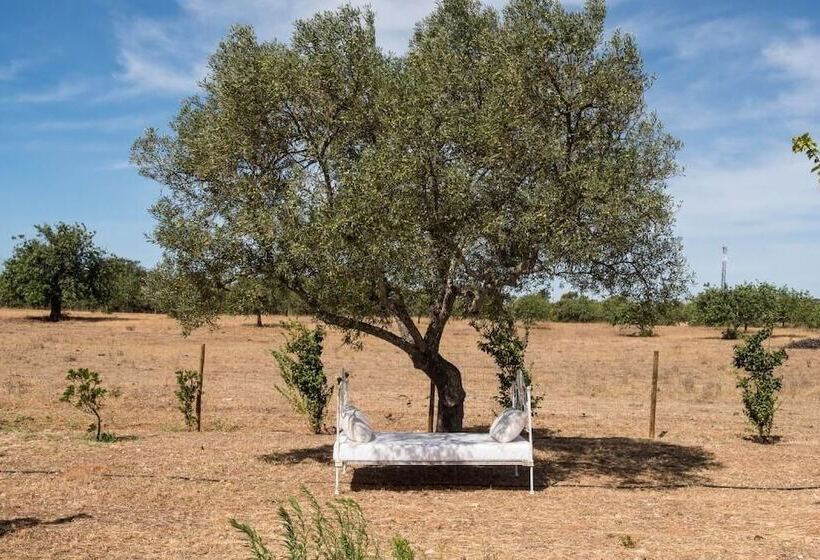 ホテル Pensão Agrícola