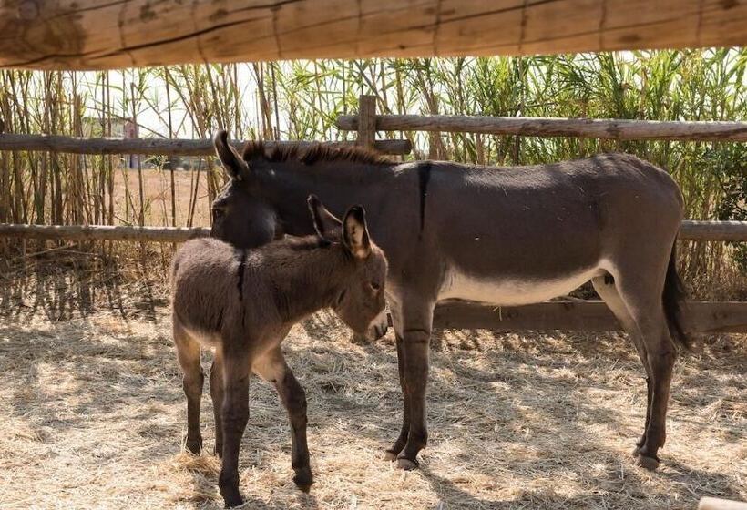 ホテル Pensão Agrícola