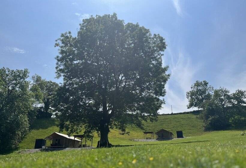 酒店 Remarkable 2 Bed Safari Lodge In Llanidloes