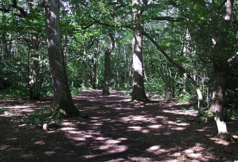 هتل Romantic Lodge On Edge Of Nature Reserve
