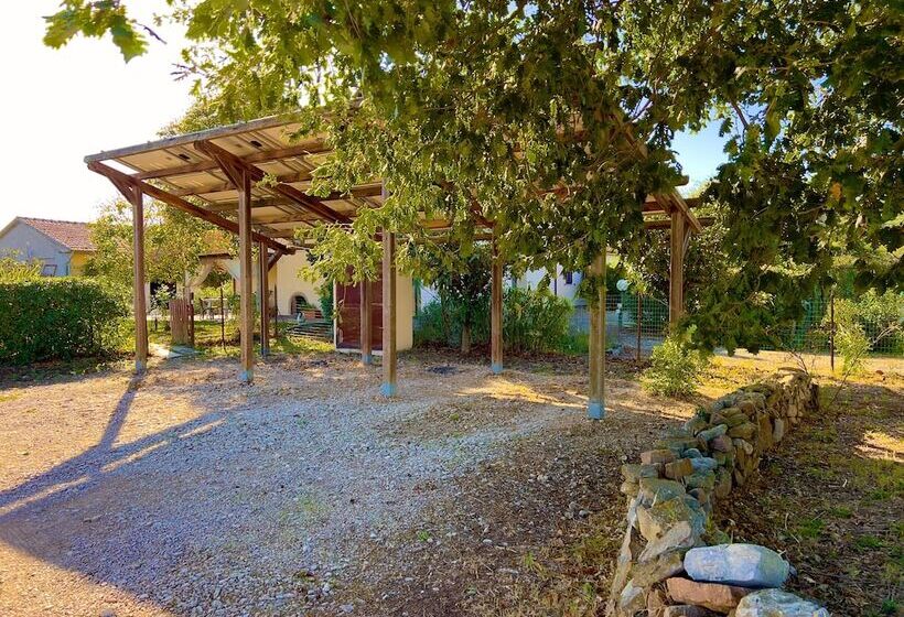 בית מלון כפרי Carpine Agriturismo Bio In Maremma