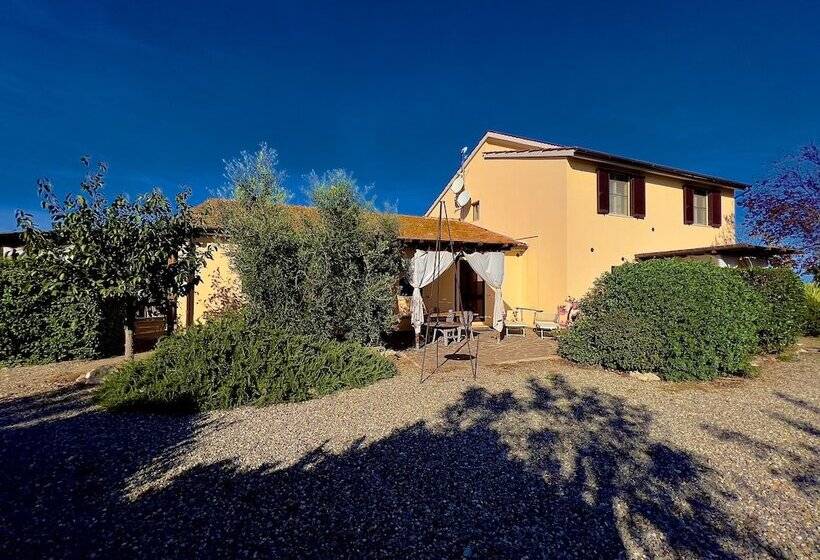 בית מלון כפרי Carpine Agriturismo Bio In Maremma