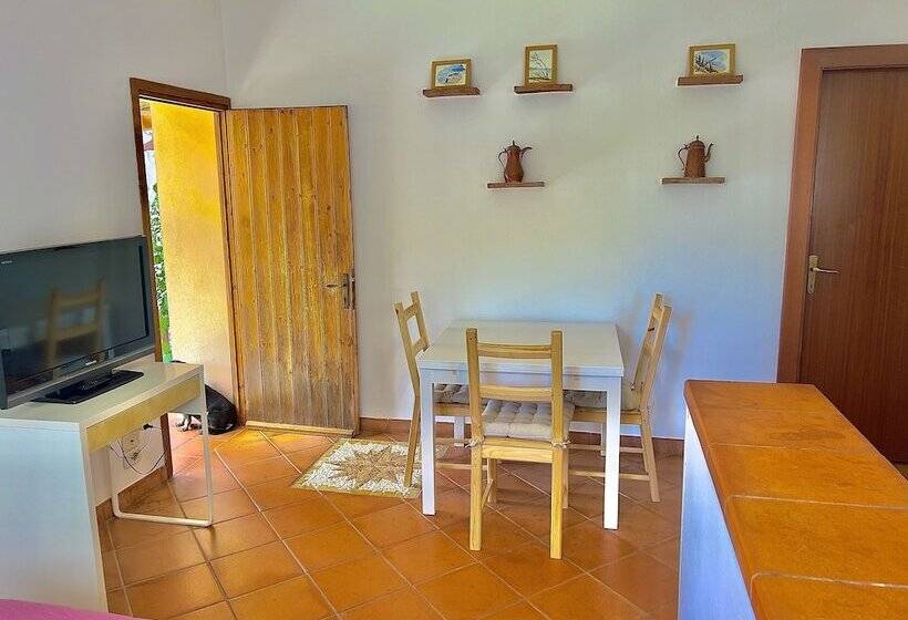 فندق ريفى Carpine Agriturismo Bio In Maremma