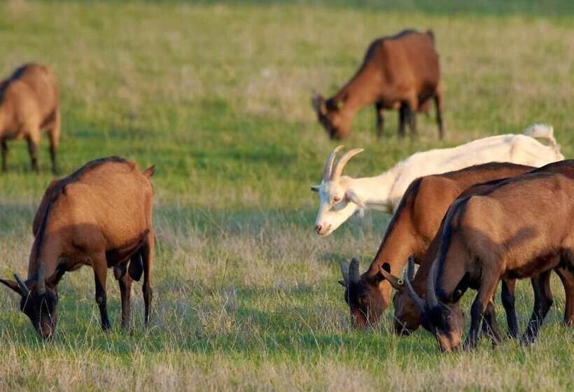 교외 호텔 Ferme Du Caroire