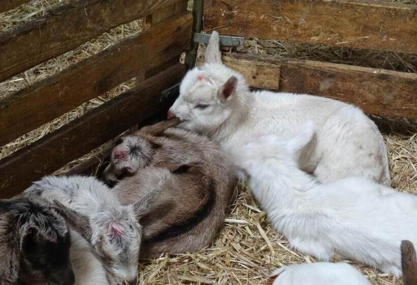 교외 호텔 Ferme Du Caroire