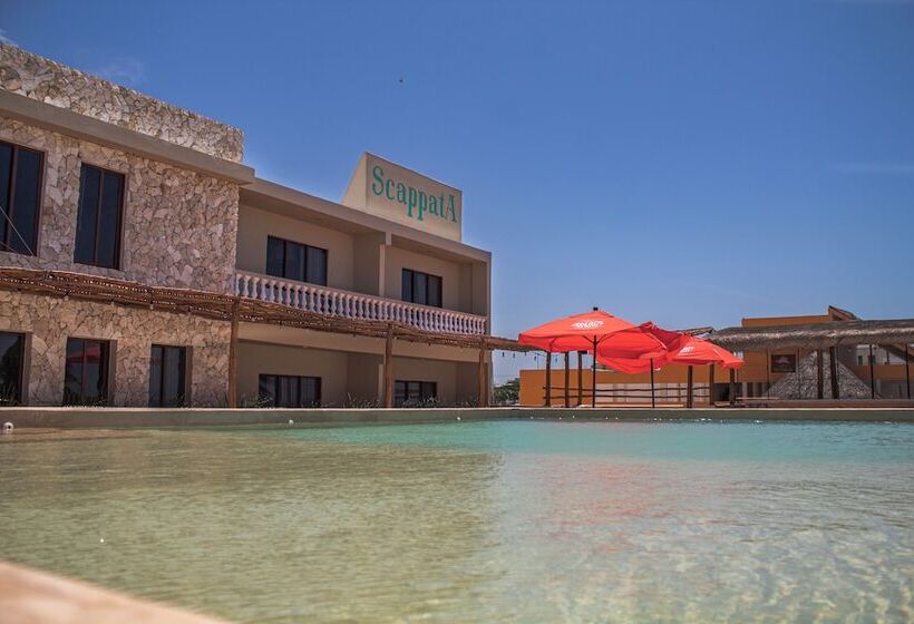 בית מלון כפרי Scappata