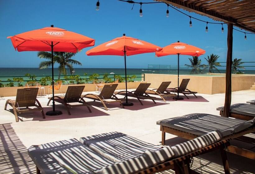 בית מלון כפרי Scappata