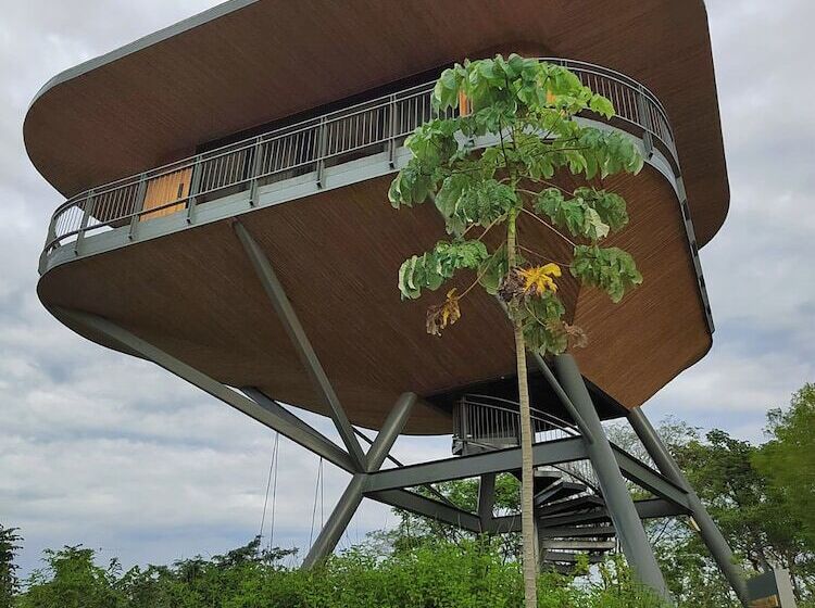 酒店 Suitree Experience