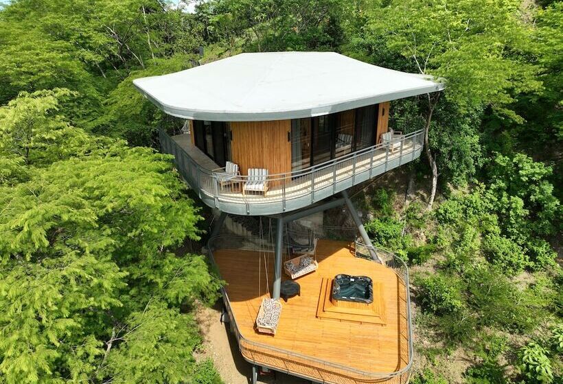 酒店 Suitree Experience