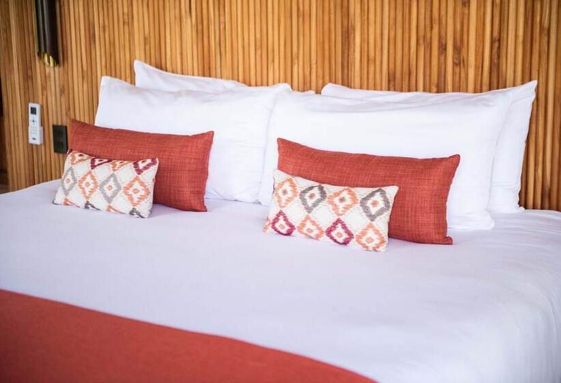 酒店 Suitree Experience