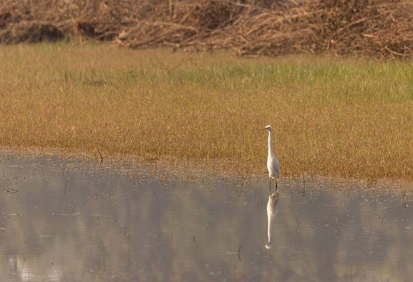 ホテル The Untamed Bandhavgarh By Tutc