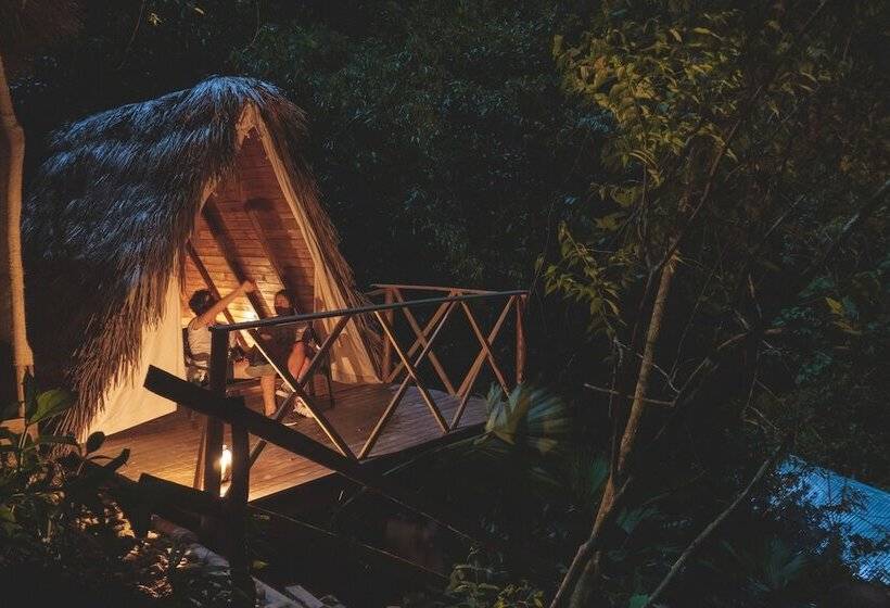 호텔 Tigrillo Rio Claroby Loscoloresecoparque