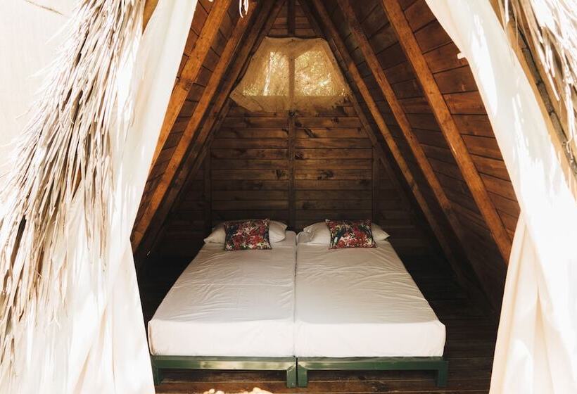 호텔 Tigrillo Rio Claroby Loscoloresecoparque