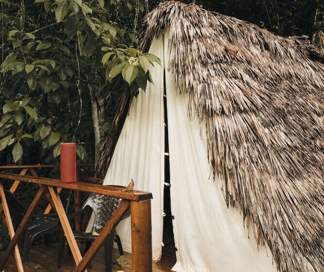 호텔 Tigrillo Rio Claroby Loscoloresecoparque