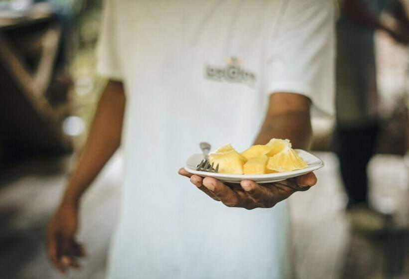 호텔 Tigrillo Rio Claroby Loscoloresecoparque