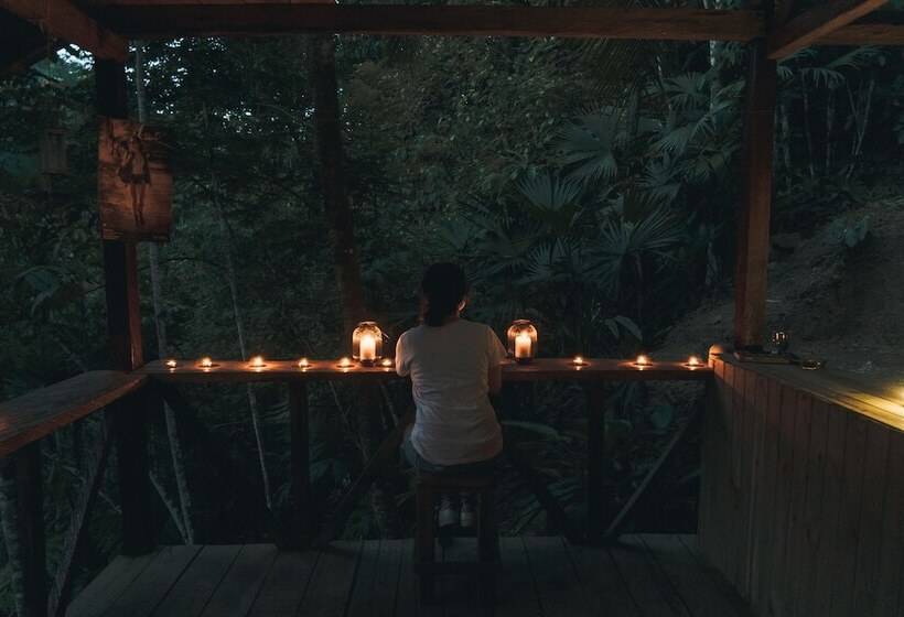 호텔 Tigrillo Rio Claroby Loscoloresecoparque