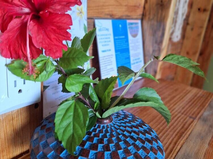 The Lighthouse Hotel And Spa