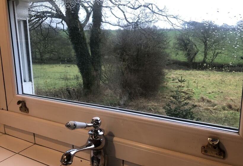 Lovely Shepherds Hut In Cornwall