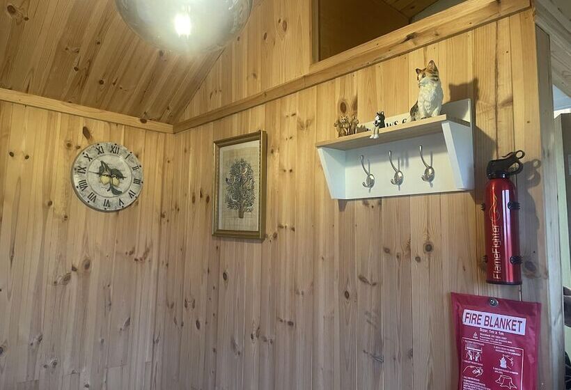 Lovely Shepherds Hut In Cornwall